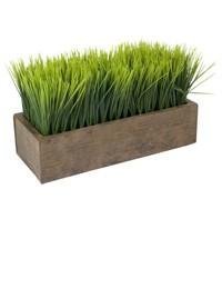 Wheat Berries -Hard Red Wheat - 10 Lbs - Excellent For Growing Wheatgrass to Juice, Food Storage, Grinding to Make Flour & Bread, Grain, Ornamental Wheat Grass, and Sprouting Seed