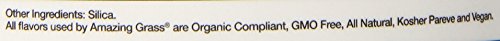 Amazing Grass Greens Blend Alkalize & Detox: Cleanse with Super Greens Powder, Beet Root Powder, Digestive Enzymes, Prebiotics & Probiotics, 30 Servings (Packaging May Vary)