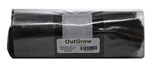 Pasteurized Manure Based Mushroom Substrate in Mushroom Grow Bag