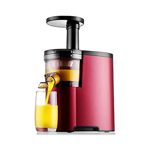 XTZJ Quiet Dual-Stage Slow Speed Masticating Juicer Makes Fruit and Vegetable 80 Revolutions per Minute High Juice Output, 150-Watt