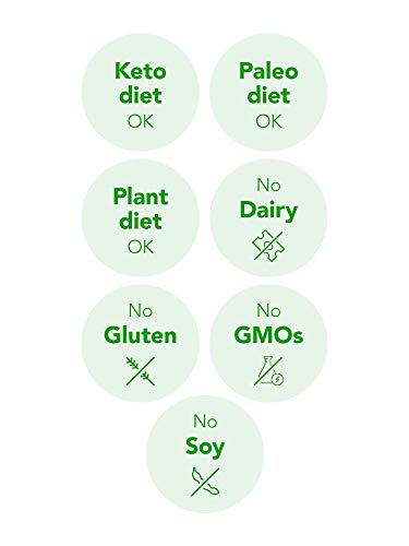 VivaStix BCAA, Glutamine & Beetroot Powder - Supports Muscle Recovery and Growth |Cherry Limeade Flavor with No Artificial Sweetener & Sugar, Non-GMO & Gluten Free, Keto & Vegan Friendly - 30 Packets