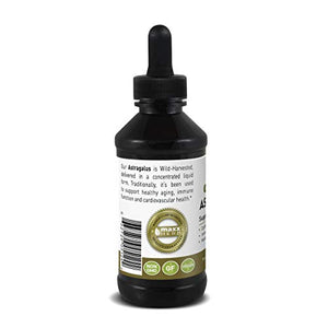 Maxx Herb Astragalus Root Extract - Astragalus Tincture Absorbs Better Than Astragalus Capsules, Astragalus Extract for Immune Support and Mental Clarity - 4 Oz Bottle (60 Servings)
