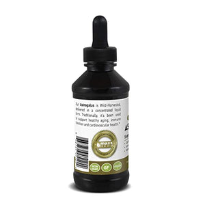 Maxx Herb Astragalus Root Extract - Astragalus Tincture Absorbs Better Than Astragalus Capsules, Astragalus Extract for Immune Support and Mental Clarity - 4 Bottles, 4 Oz Each (240 Servings)