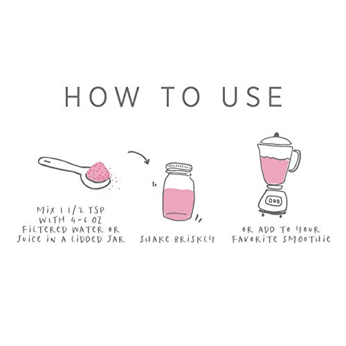 Pure Synergy Berry Power | 5.3 oz Powder | USDA Organic | Non-GMO | Vegan | with 20 Antioxidant-Rich Fruits and Berries