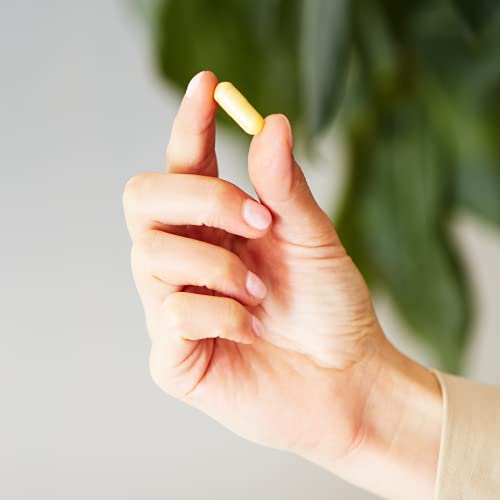 Solgar B-Complex "100", 100 Vegetable Capsules - Heart Health - Nervous System Support - Supports Energy Metabolism - Non GMO, Vegan, Gluten Free, Dairy Free, Kosher, Halal - 100 Servings