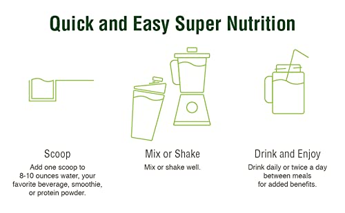 Terra Kai Organics JUCE Greens Superfood Drink Mix - Harvest Apple Flavor - 40 Servings - Fruits & Vegetables for Immune Boost, Detox & Cleanse, Improve Gut Health (17.44 Ounce, Pack of 2)