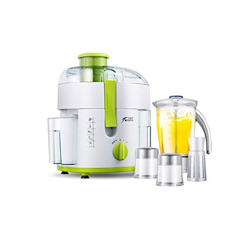 XLEVE Slow Masticating Juicer Extractor with Reverse Function, Cold Press Juicer Machine with Quiet Motor, Juice Jug and Brush for High Nutrie