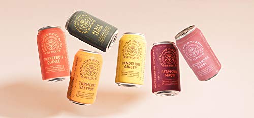 Rishi Tea Sparkling Botanicals Sparkling Water Sampler Pack - Black Lemon, Dandelion Ginger, Grapefruit Quince, Elderberry Maqui, Schisandra Berry, Turmeric Saffron - 12 oz (12 Pack, 2 of Each Flavor)