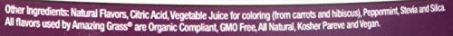 Amazing Grass Greens Blend Antioxidant: Super Greens Powder with Spirulina, Beet Root Powder,Elderberry & Probiotics, Sweet Berry, 100 Servings (Packaging May Vary)