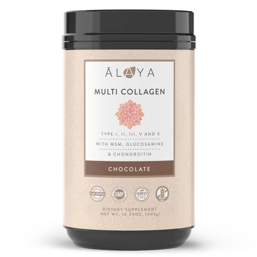 Alaya Multi Collagen Powder - Type I, II, III, V, X Hydrolyzed Collagen Peptides Protein Powder Supplement with MSM + GC (Chocolate)