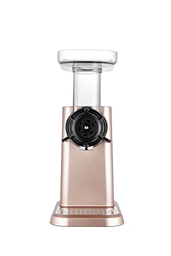 Hurom Celery And Greens Horizontal Slow Juicer Champagne