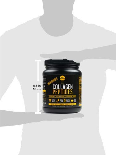 SOL STRONG Collagen Peptides Protein Powder Collagen Powder Pasture-Raised, Gluten-Free Certified Paleo and Keto, 20oz USA Extra Large (1)