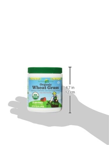 Amazing Grass Wheat Grass Powder: 100% Whole-Leaf Wheat Grass Powder for Energy, Detox & Immunity Support, Chlorophyll Providing Greens, 30 Servings