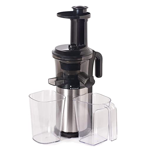 ZPDD 200W 40RPM Stainless Steel Masticating Slow Auger Juicer Fruit and Vegetable Juice Extractor Compact Cold Press Juice (Size : with Sorbet Strainer)