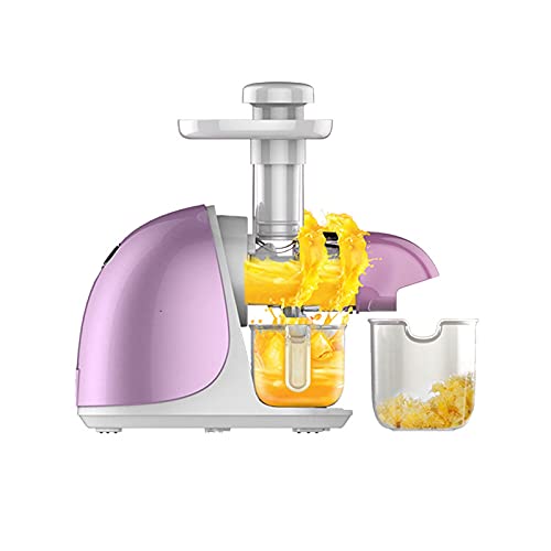 XBYUNDING Juicer Machines,Juicer Masticating Juicer,Large Caliber Juice Machine,Squeezed Sugar Cane Machine,Pomegranate Slag Juice,Fully Automatic Fried Juice Machine