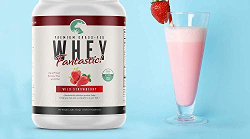 Whey Fantastic - Vanilla - 5LB 100% Pure Grass Fed Whey Protein - Bulk - Optimum Blend of Undenatured Whey Isolate, Concentrate & Hydrolysate - Non-GMO, Soy & Gluten Free - 63 Servings