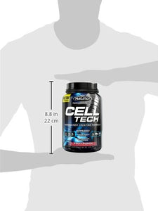 Creatine Monohydrate Powder | MuscleTech Cell-Tech Creatine Powder | Post Workout Recovery Drink | Muscle Builder for Men & Women | Muscle Building Creatine Supplements | Fruit Punch, 3 lbs (28 Serv)