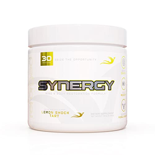 Reforged Synergy | Post-Workout Recovery Formula | Nootropic Muscle Builder Drink Mix w/Creatine, Alpha-GPC, L-Carnitine L-Tartrate, & Ashwagandha | Zero Calorie, Lemon Shock Tart, 30 Servings