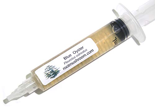 Root Mushroom Farm- 30 Kinds of Mushroom Liquid Culture Available for You to Choose /Blue Oyster(Pleurotus ostreatus)