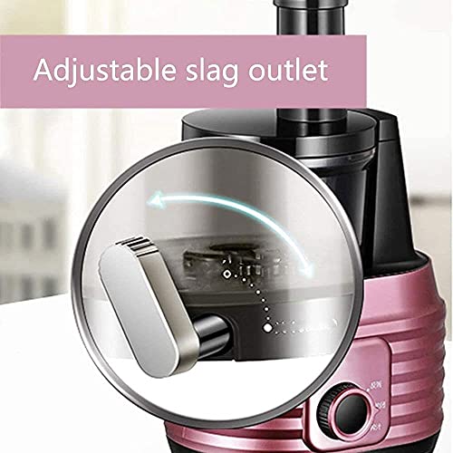 XBYUNDING Juicer Machines Machines,Professional Cold Press Juicer Extractor Machine,Quiet Motor,Reverse Function,Slow Masticating Juicer With Brush,for Fruit Vegetable Juice