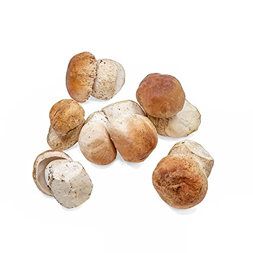 West Coast Wild Foods | Dried Wild Mushrooms (Porcini, 100g)