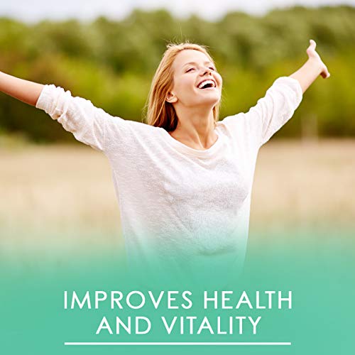 Generation Greens Powder | Organic Superfood Powder with Spirulina, Chlorella, Wheat Grass | 60 Powerful Super Foods, Probiotics, Enzymes | GMO Free (15 Servings, Delicious Orange)