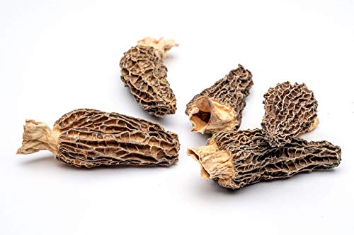 Slofoodgroup Dried Morel Mushrooms (Morchella Conica) Gourmet Morel Mushrooms (15 Morel Mushrooms)