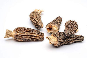 Slofoodgroup Dried Morel Mushrooms (Morchella Conica) Gourmet Morel Mushrooms (.5 lb Morel Mushrooms)