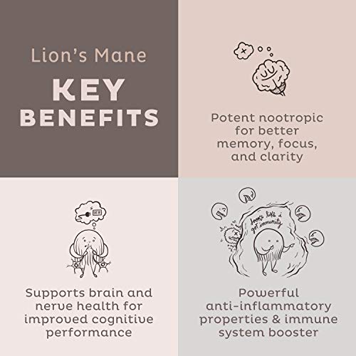 KOS Organic Lions Mane Powder - Lion's Mane Mushroom Powder - Natural Nootropic, Supports Memory & Focus, Immunity Booster - Potent Mushroom Supplement - 12.84 oz.