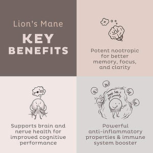 KOS Organic Lions Mane Powder - Lion's Mane Mushroom Powder - Natural Nootropic, Supports Memory & Focus, Immunity Booster - Potent Mushroom Supplement - 12.84 oz.