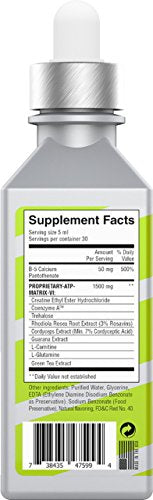 Runners Creatine Serum | Higher Speed, Longer Run, Cellular Energy, Faster Recovery. Easily Absorbed. Does Not Cause Water Gain. with Creatine HCL + L-Glutamine + L-Carnitine & Guarana Extract