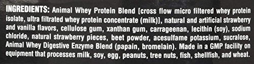 Animal Whey Isolate Whey Protein Powder – Isolate Loaded for Post Workout and Recovery – Low Sugar with Highly Digestible Whey Isolate Protein - Chocolate - 5 Pounds