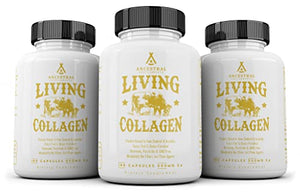 Ancestral Supplements Grass Fed (Living) Collagen—Supports Joints, Marrow Bones, Cartilage, Skin, Hair, Nails (180 Capsules)