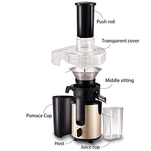 lq ZTT Juicer Machines, Slow Masticating Juicer, Cold Press Juicer Extractor, Centrifugal Juice Extractor for Fruit，Dual Speed and Overheat Overload Protection