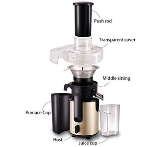 lq ZTT Juicer Machines, Slow Masticating Juicer, Cold Press Juicer Extractor, Centrifugal Juice Extractor for Fruit，Dual Speed and Overheat Overload Protection