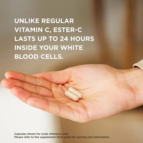 Solgar Ester-C Plus 500 mg Vitamin C (Ascorbate Complex), 250 Vegetable Capsules - Gentle & Non Acidic - Antioxidant & Immune Support - Non GMO, Vegan, Gluten Free, Kosher - 250 Servings