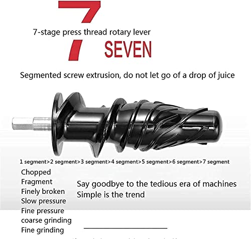 BXZYYL Juicer, Slow Masticating Juicer Extractor with Reverse Function, Cold Press Juicer Machine with Quiet Motor, Juice Jug for Vegetables and Fruits