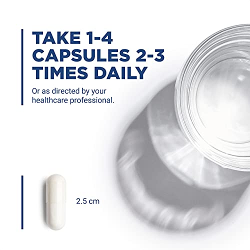 Vital Nutrients - Glutamine - Gastrointestinal and Immune Support - 100 Vegetarian Capsules per Bottle - 3400 mg