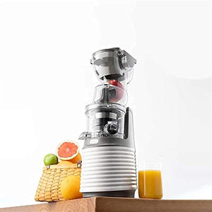 Juicer Machines Slow Masticating Juicer Extractor, 3.15 Inches Wide Chute Cold Press Juicer for Easy Juice and Clean, High Juice Yield for Fruit