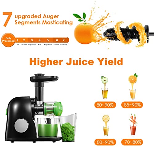 Juicer Machines, Slow Masticating Juicer Easy to Clean, Cold Press Juicer Extractor with Quiet Motor & Reverse Function for Vegetable and Fruit, Classic Black