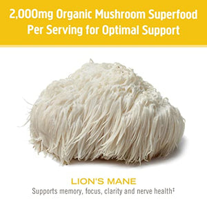 Om Mushroom Superfood Lion's Mane Organic Mushroom Powder, 7.05 Ounce Pouch, 100 Servings, Fruit Body and Mycelium Nootropic for Memory Support, Focus, Clarity, Nerve Health, Creativity and Mood