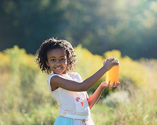Unfiltered Raw Honey by Zach & Zoe Sweet Bee Farm – (1) 16 Ounce Jar of Wildflower Honey in Gift Box - Pure Farm Raised Honey with Powerful Anti-oxidants, Amino Acids, Enzymes, and Vitamins!