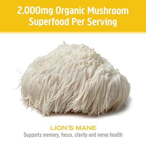 Om Mushroom Superfood Lion's Mane Mushroom Capsules Superfood Supplement, 90 Count, 30 Days, Fruit Body and Mycelium Nootropic for Memory Support, Focus, Clarity, Nerve Health, Creativity and Mood