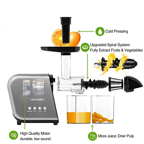 Slow Juicer Machine for Vegetables and Fruits 2021 Cold Press Masticating Juicer Extractor Celery Wheatgrass Leafy Greens Carrot Ginger BPA-Free Easy to Clean Juicer with Quiet Motor Reverse Function