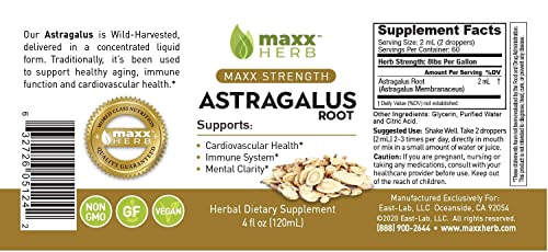 Maxx Herb Astragalus Root Extract - Astragalus Tincture Absorbs Better Than Astragalus Capsules, Astragalus Extract for Immune Support and Mental Clarity - 4 Bottles, 4 Oz Each (240 Servings)