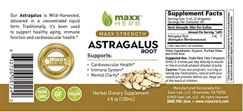 Maxx Herb Astragalus Root Extract - Astragalus Tincture Absorbs Better Than Astragalus Capsules, Astragalus Extract for Immune Support and Mental Clarity - 4 Oz Bottle (60 Servings)