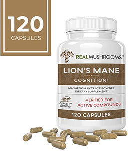 Lions Mane Mushroom Cognition Capsules (120 Capsules) Lions Mane Mushroom Powder Extract Capsules | Brain Supplement, Brain Vitamins, Focus Supplement