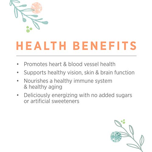 Pure Synergy Berry Power | 5.3 oz Powder | USDA Organic | Non-GMO | Vegan | with 20 Antioxidant-Rich Fruits and Berries