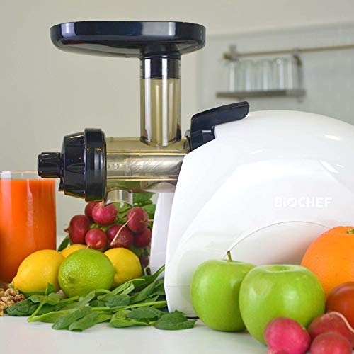 BioChef Gemini Twin Gear Slow Masticating Juicer - Cold Press Juicer Extractor for Fruit and Vegetables | BPA Free | Quiet and Easy to Clean (White)