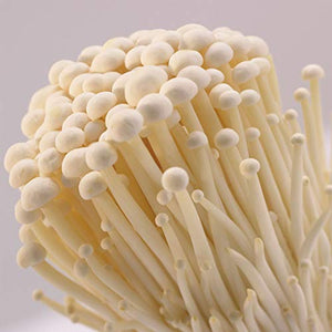 Root Mushroom Farm- 30 Mushroom Liquid Cultures /White Enoki (Flammulina velutipes)